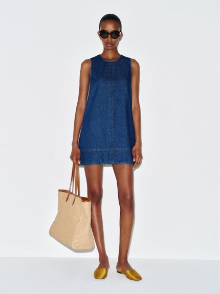 Salinas Bri Denim Mini Dress